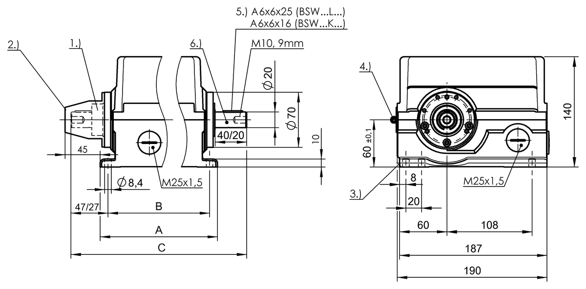 Standard rotary cam switches