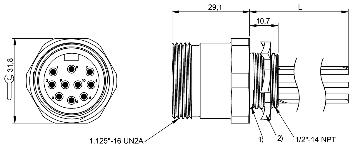 Conectores pasamuros