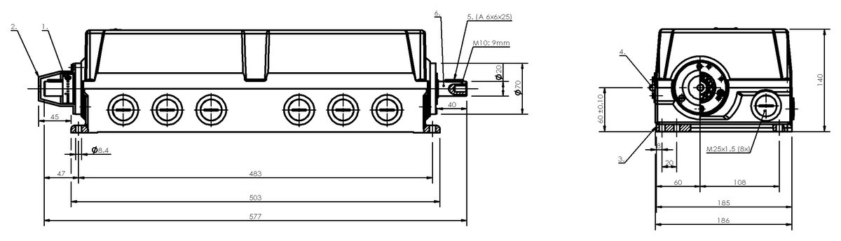 Rotary cam switches with safety switch positions