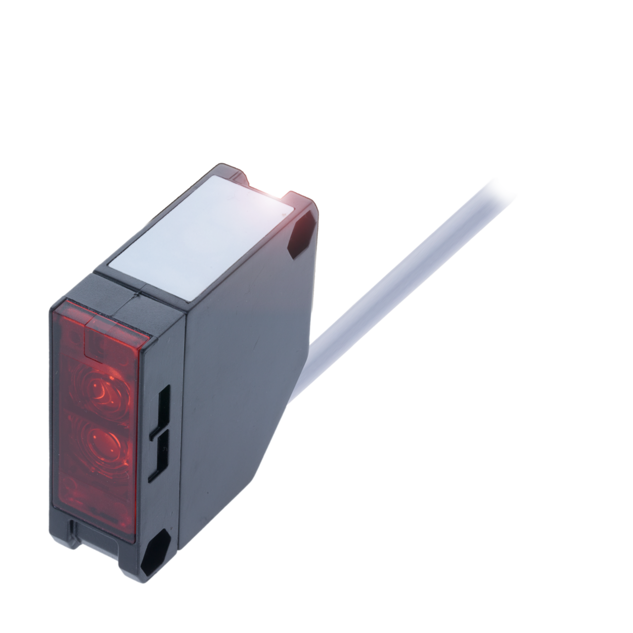 BLS 25K-5-G20-02