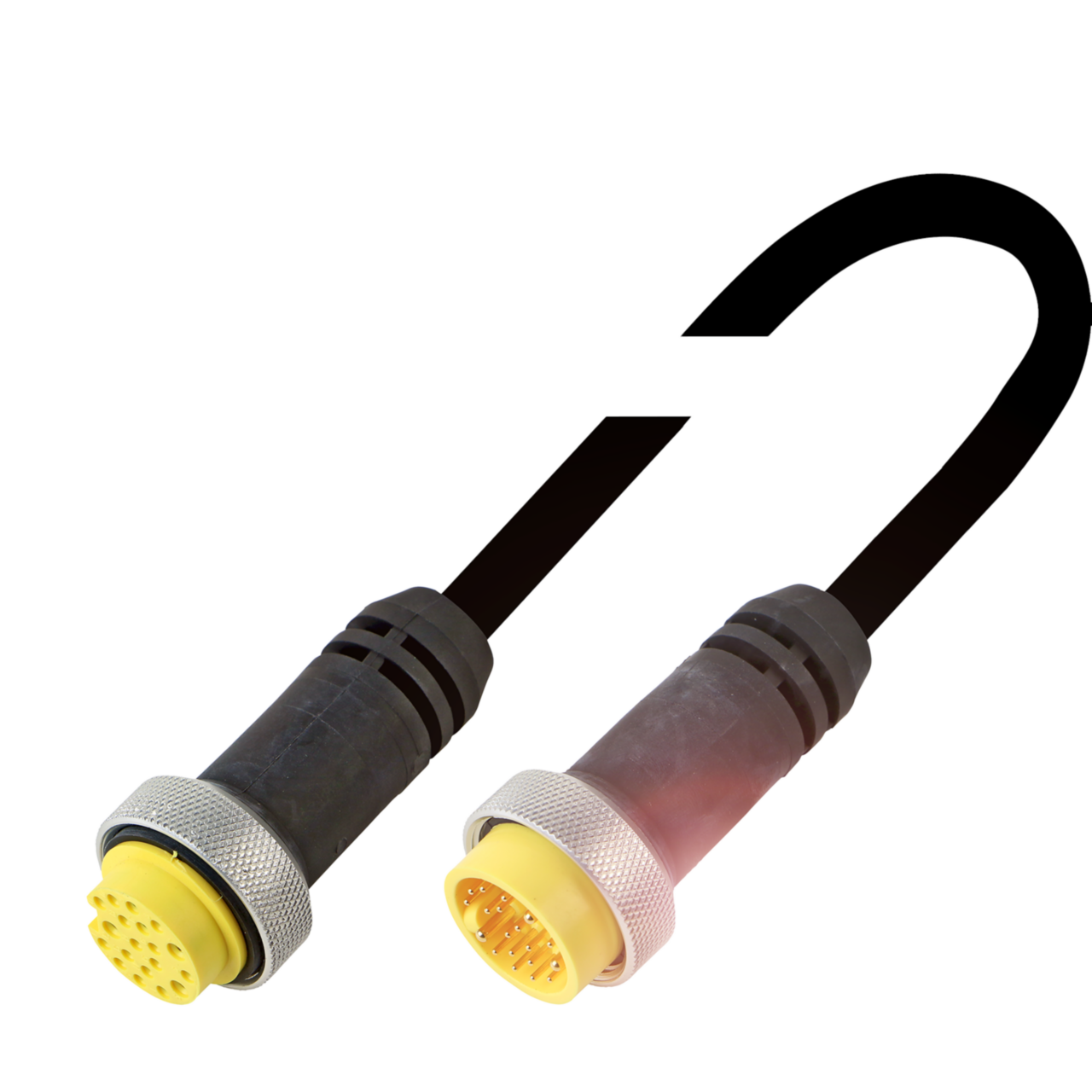 BCC A51L-A51L-70-363-PX0LW8-050