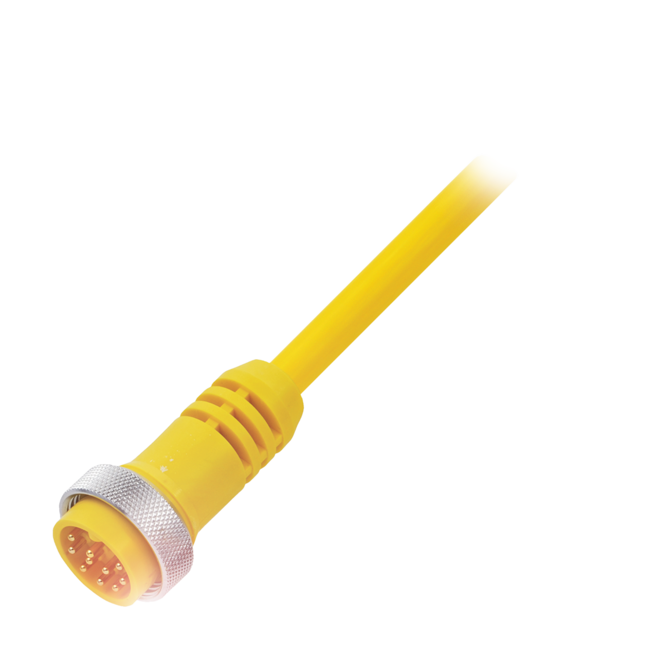 BCC A51A-0000-C0-089-VX4AW8-050