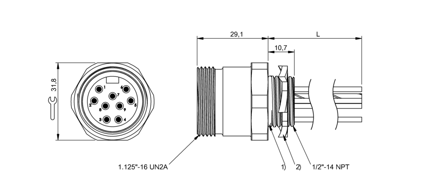 BCC0A6P (BCC A559-0000-20-RN027-006) Receptacles - BALLUFF