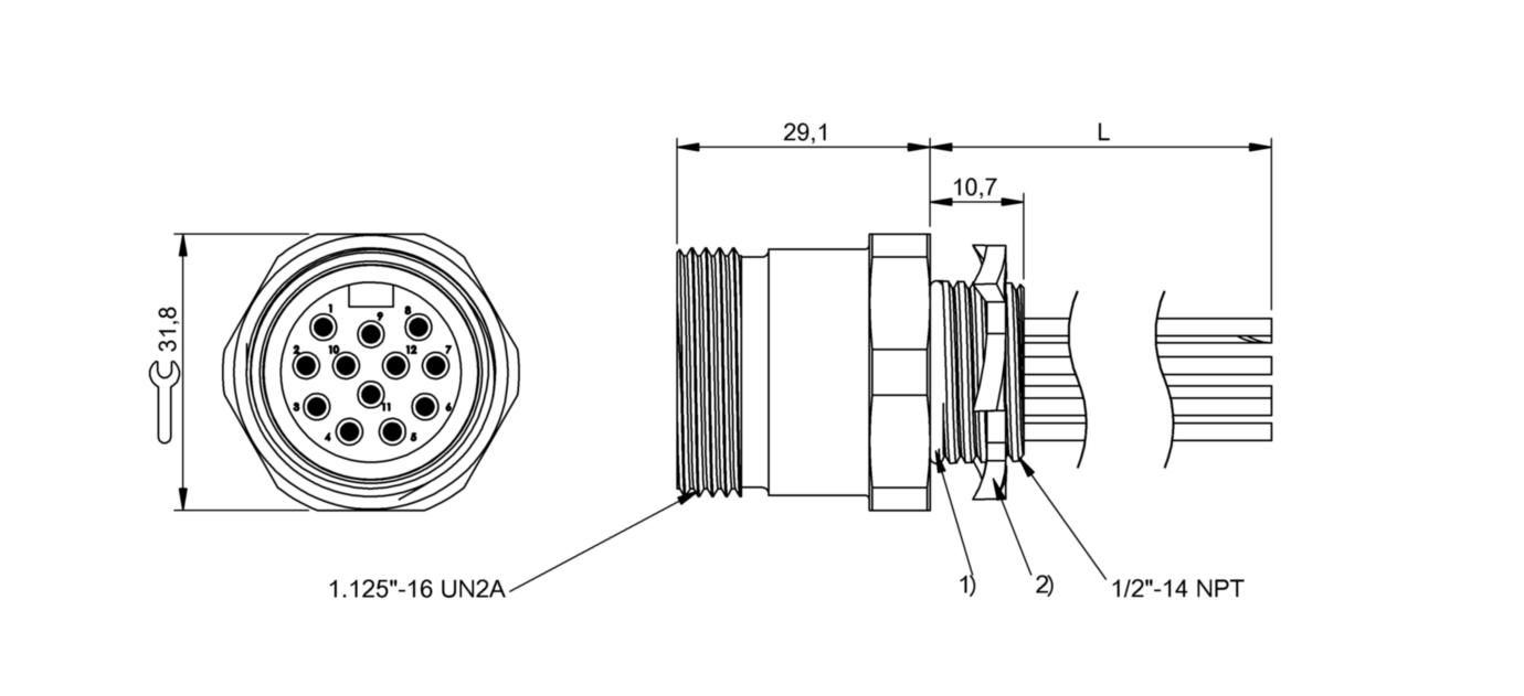 BCC0A72 (BCC A55C-0000-20-RN029-020) Receptacles - BALLUFF