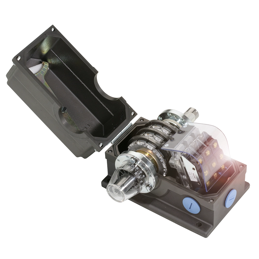 Standard rotary cam switches