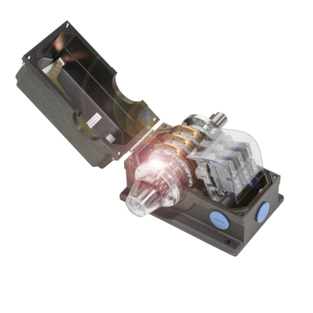 Inductive rotary cam switches