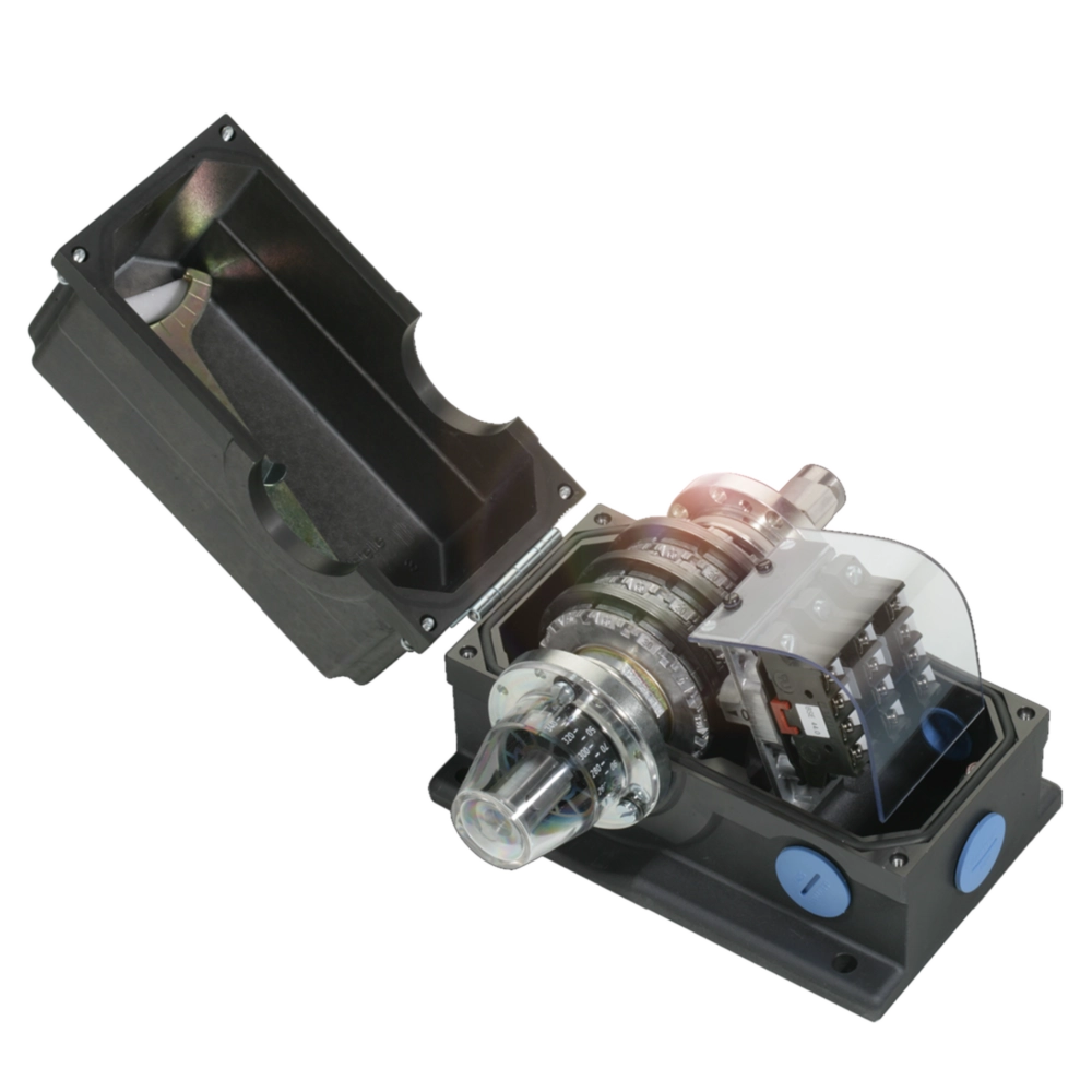 Standard rotary cam switches