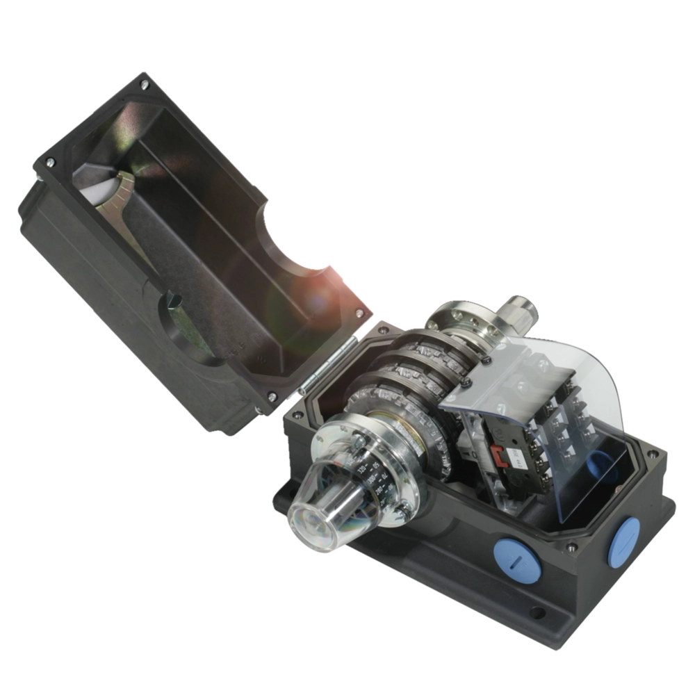 Standard rotary cam switches