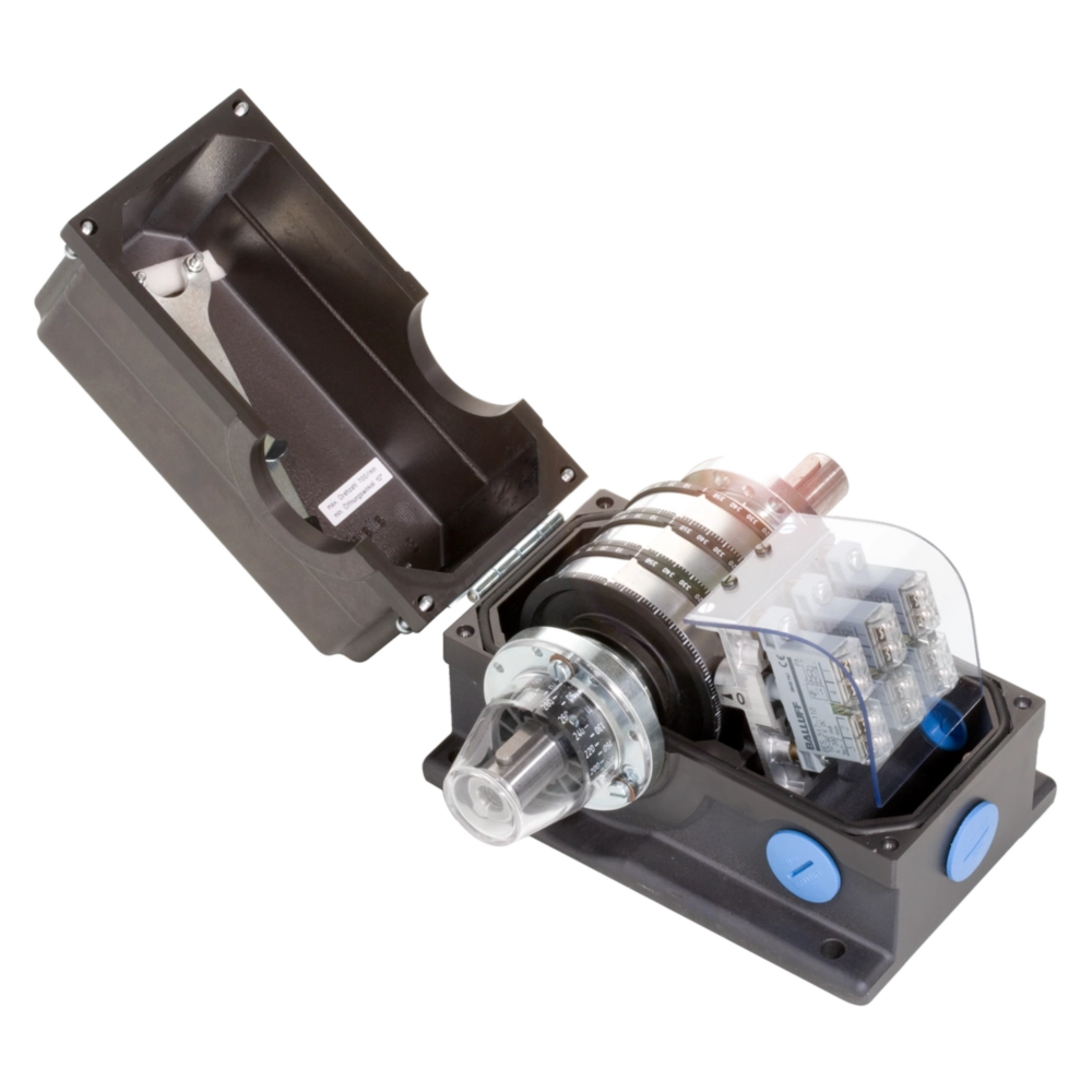 BSW 816-207-20L3-WS