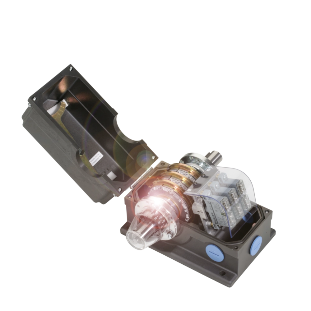 Inductive rotary cam switches