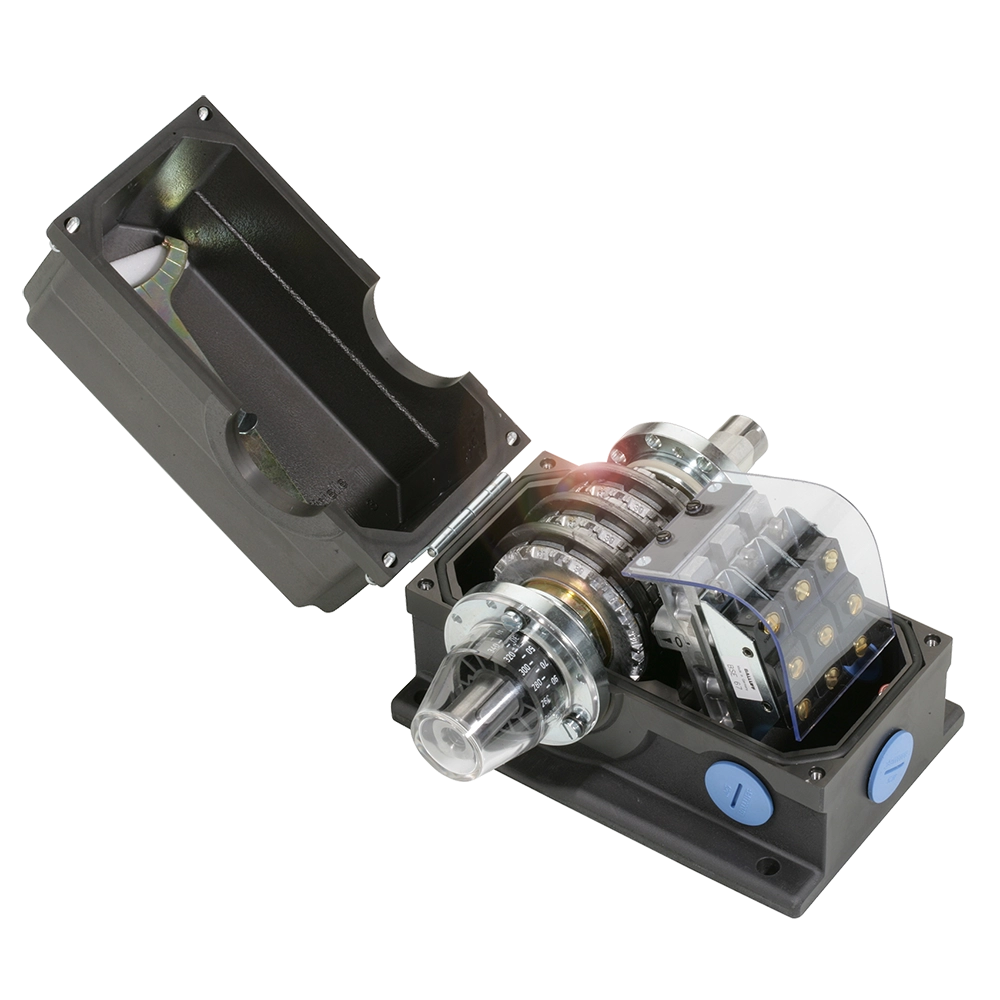 Standard rotary cam switches