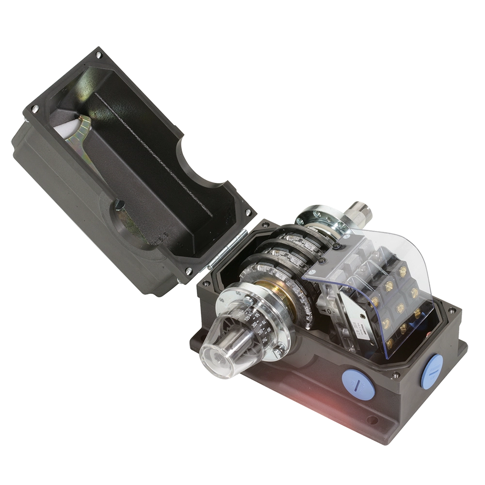 Standard rotary cam switches