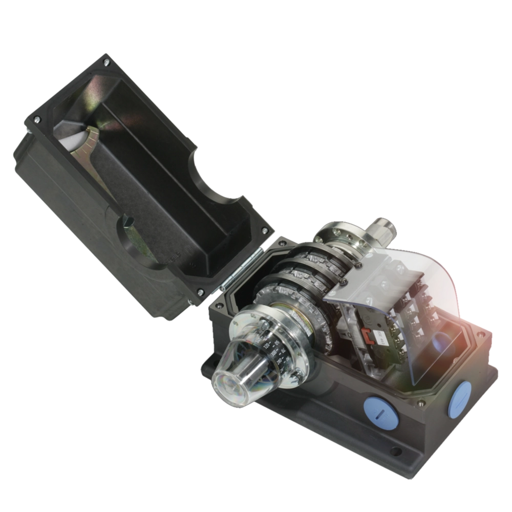 Standard rotary cam switches