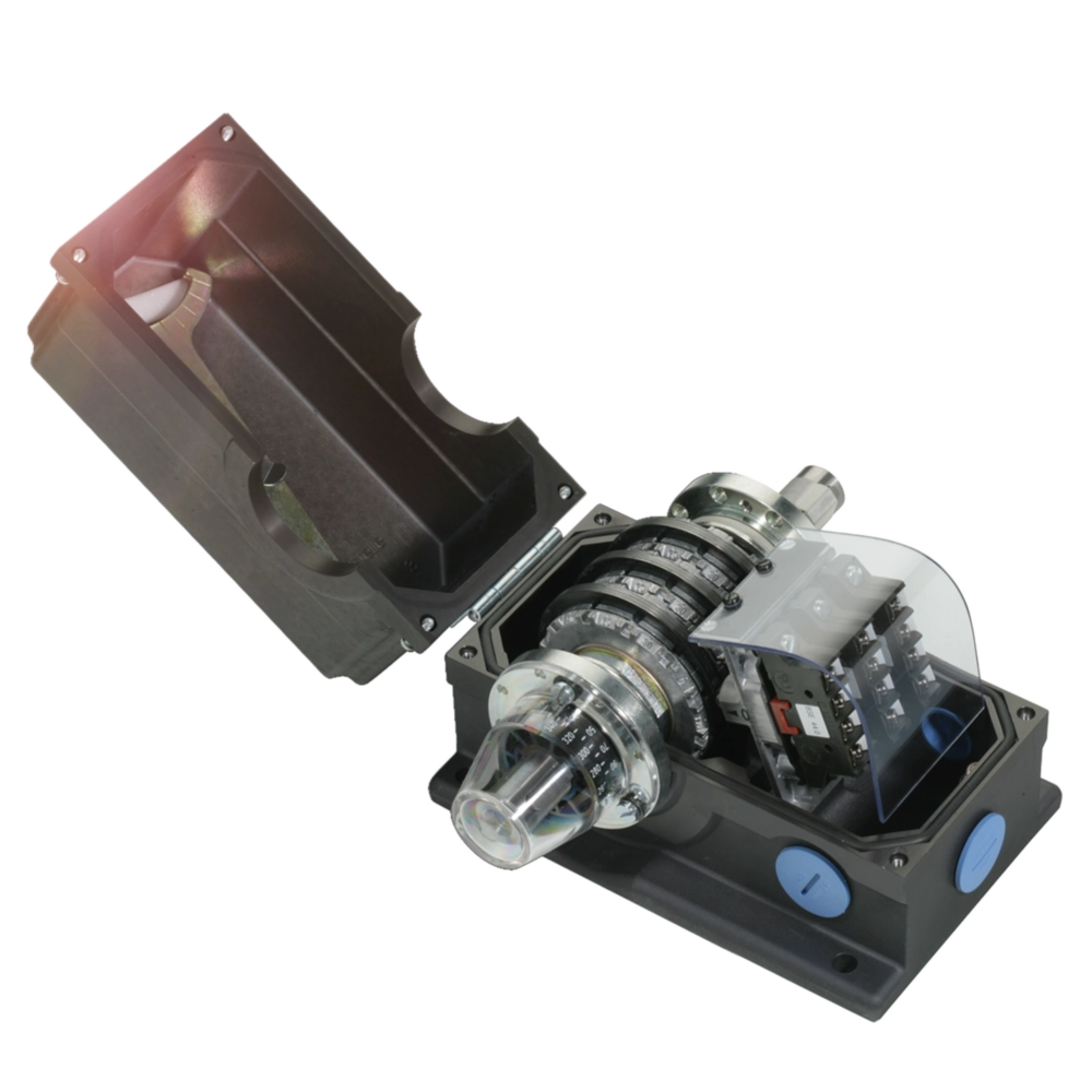 Standard rotary cam switches