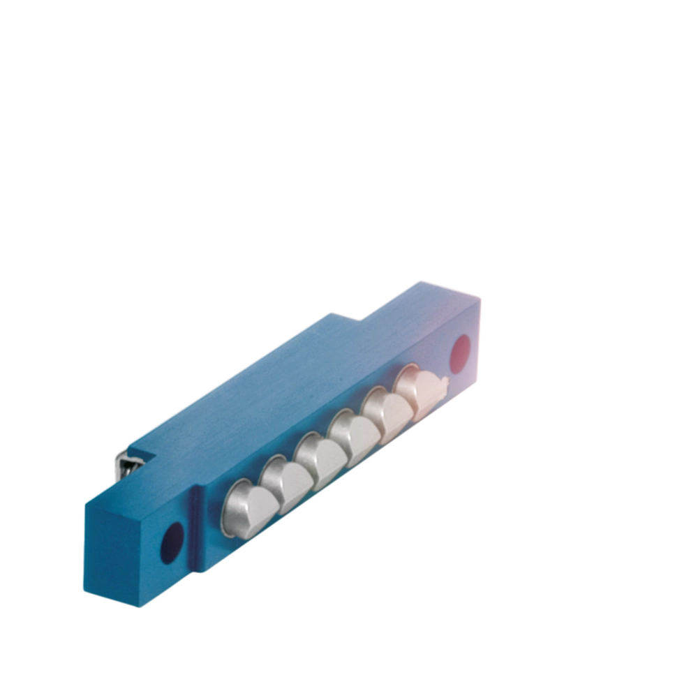 Camme e relativi listelli