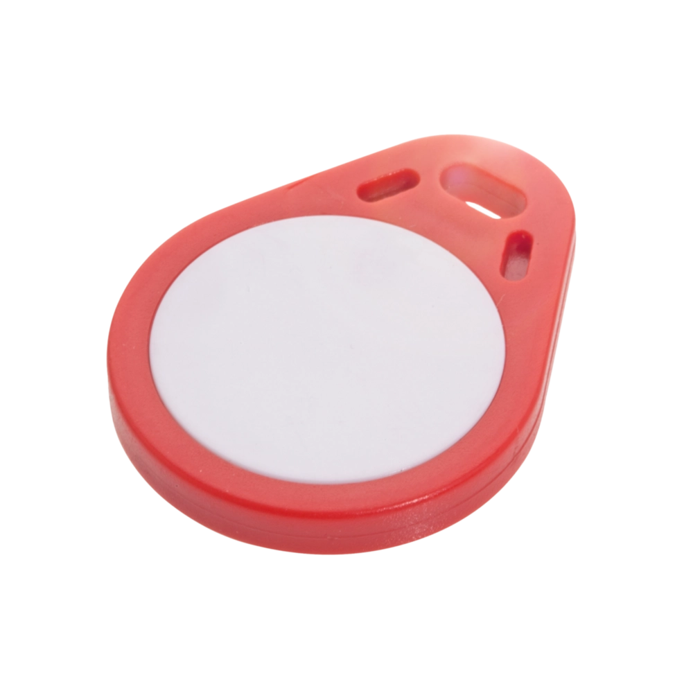 LF data carriers (125 kHz)