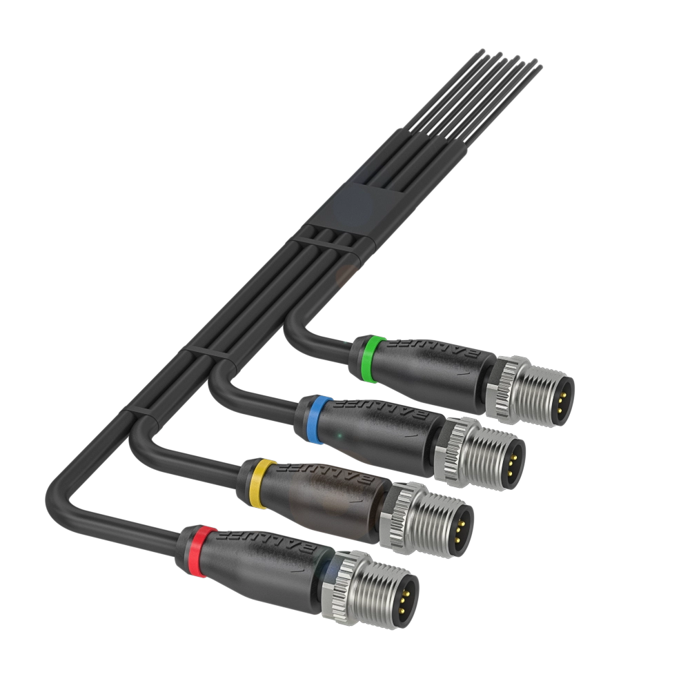 BAV MA-AC-00026-01