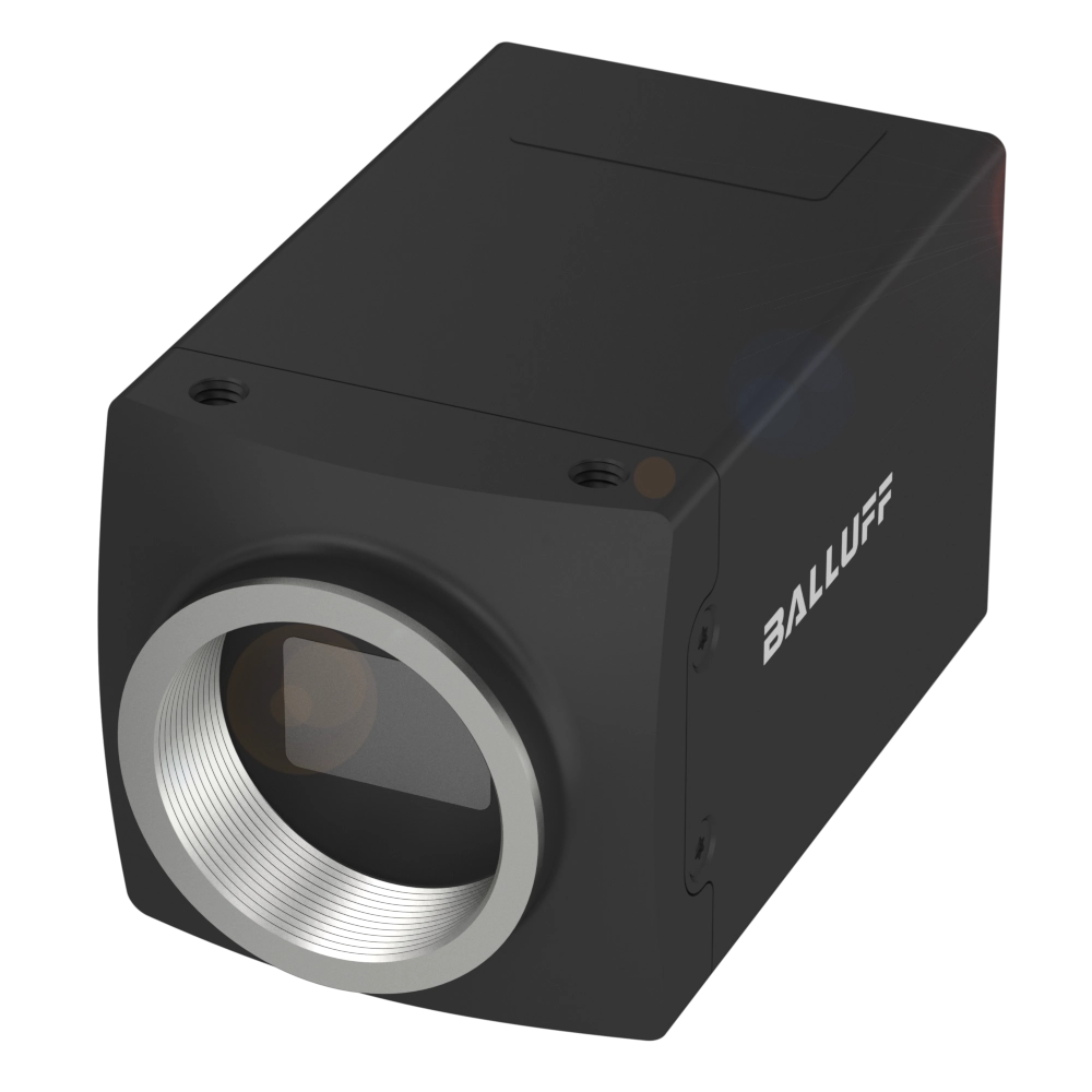 BVS CA-GV2-0013TG-110110-001